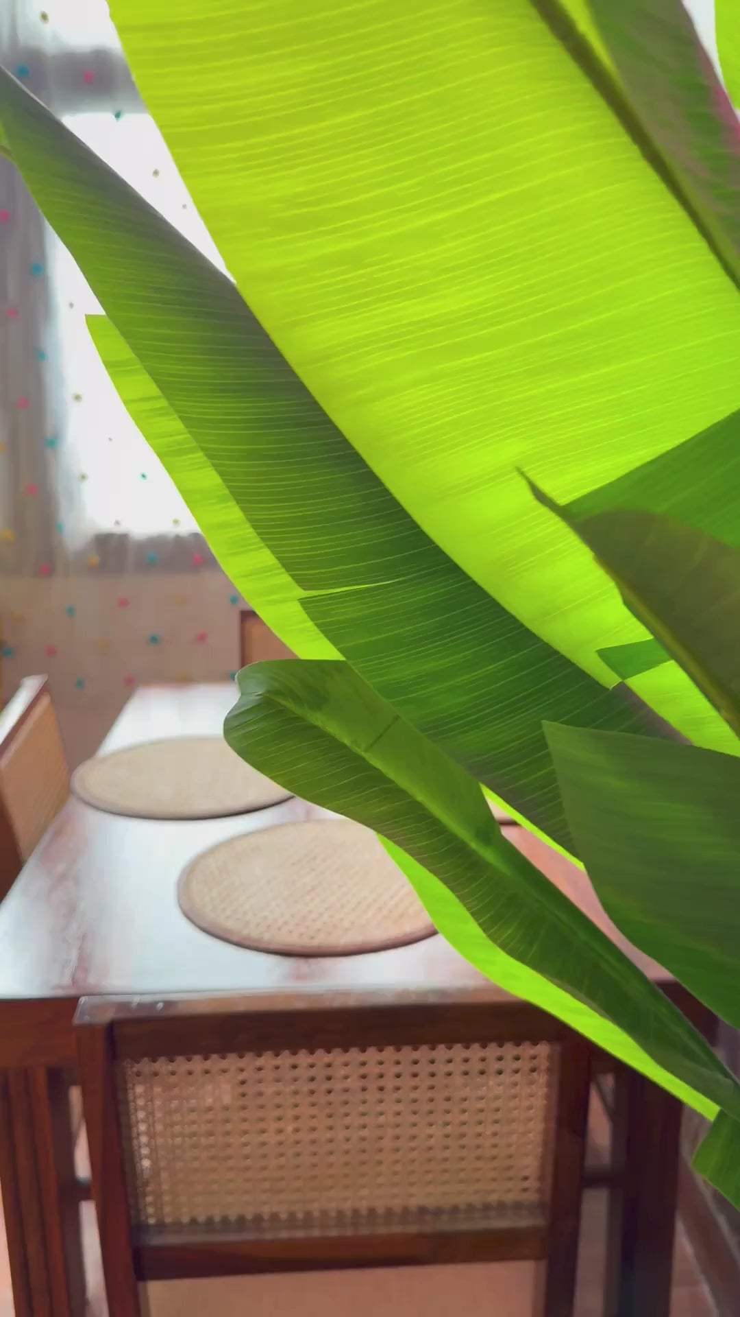 Round rattan table mats product video showing natural handmade design"